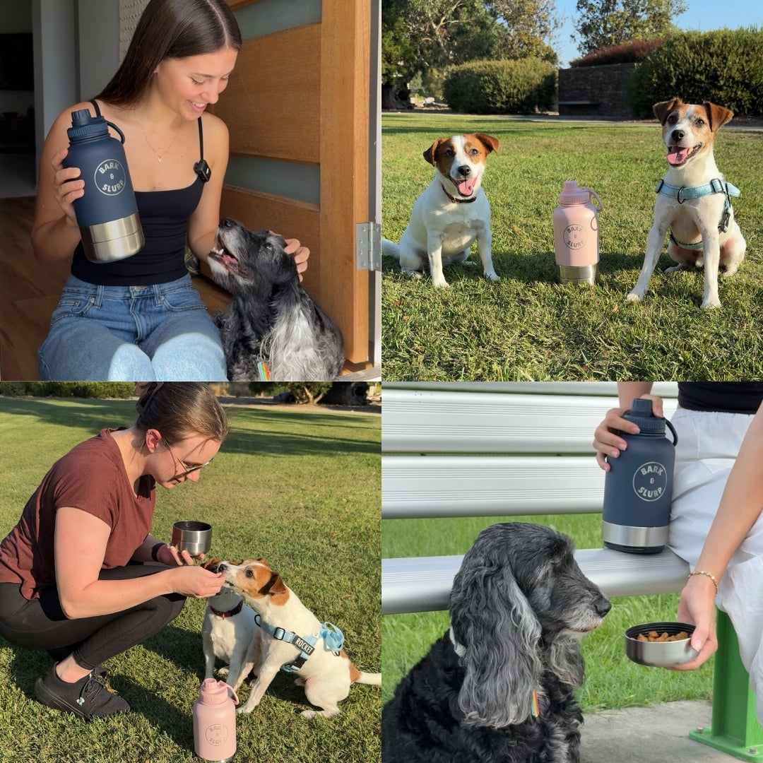 3 In 1 Pet Travel Bottle