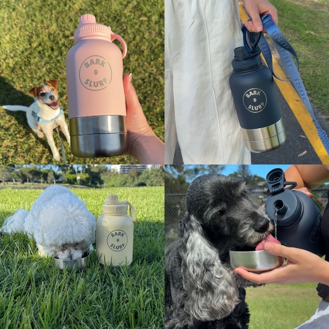 3 In 1 Pet Travel Bottle
